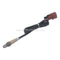 079906262F 0258007313 0258007314 Oxygen Sensor